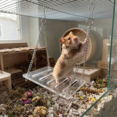 1pc Acrylic Hamster Swing Holder, Small Pet Accessories, Suitable For Hamsters And Other Small Pets, Interesting Cage Decor