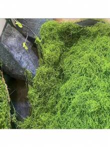 1pc 20g/50g/100g/200g/500g Artificial Moss, Suitable For Home Decor, Fake Moss Micro Landscape Arrangement, Lawn, Potted Plants - Multicolor - View 8