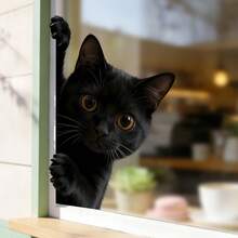 1/9片装可爱动物窥视窗贴，可移除黑猫、熊猫和狐狸图案。静电粘贴式窗户装饰，适用于家庭和咖啡馆窗户，也是送给宠物爱好者的绝佳礼物。 - 動物窗貼 - 查看 10