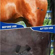 Equestrian Supplies Summer Anti-Mosquito Anti-Fly Bites Horse Mesh Breathable Adjustable Horse Clothing - View 5