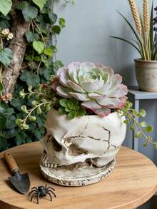 1个独一无二的骷髅头花盆——用这款别致的骷髅头花盆升级您的室内花园或桌面摆设！非常适合种植多肉植物、香草或小型花卉，可完美融入您的卧室床头柜、办公桌或阳台搁架。其引人注目的设计让任何角落都成为话题焦点，将暗黑风格与实用园艺功能完美融合。让您的花盆脱颖而出，提升家居氛围。 - A - 查看 4