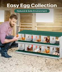 Egg Handling Supplies - Green 10-compartment - View 7