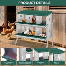 Egg Handling Supplies - 綠色6格隔間-帶支架 - 查看 8