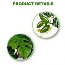 2 piezas Macetas blancas pequeñas y lindas con plantas verdes artificiales, plantas en maceta con hojas de tortuga falsas de 15 cm, adecuadas para decoración del hogar, escritorio de oficina, mesa de comedor, baño, decoración del hogar, accesorios DIY, decoración de sala de estar y dormitorio, sin necesidad de regar - Verde - Ver 6