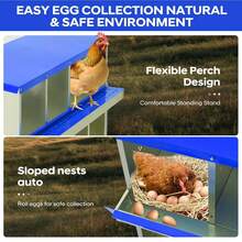 Egg Handling Supplies - Blue 8-compartment Compartment - With Support Frame - View 4