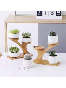 1pc Bamboo Planter Tray, Suitable For Succulent Plant Decor - Apricot - View 2