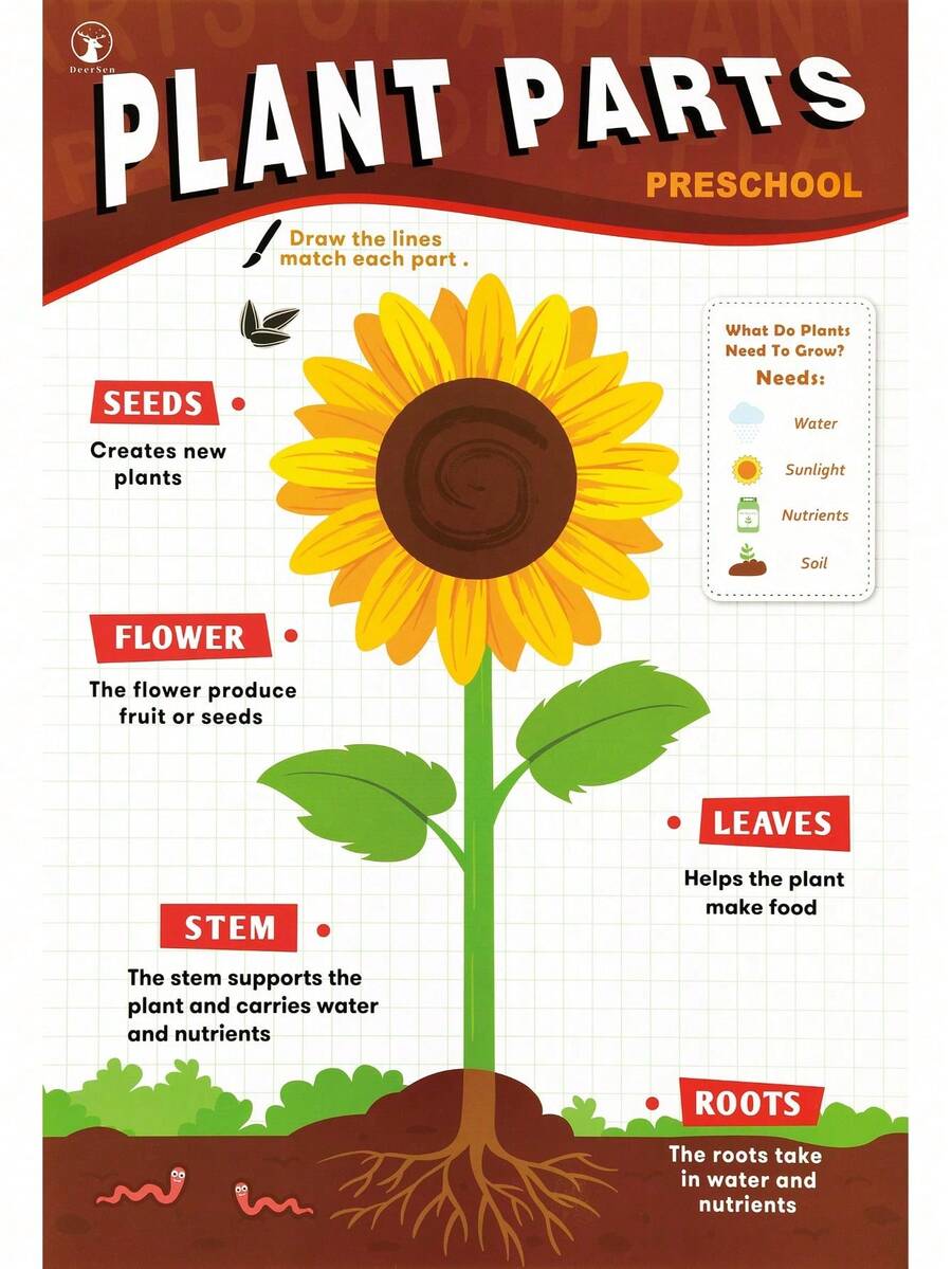 Educational Posters For Classroom Decor, Colorful Educational Posters Chart For Toddlers 1-6, ABC Chart, Numbers, Colors, Shapes, Days Of The Week, Boho Early Education Posters, Kindergarten & Preschool Classroom Must Haves - Gỗ đỏ - Xem 1