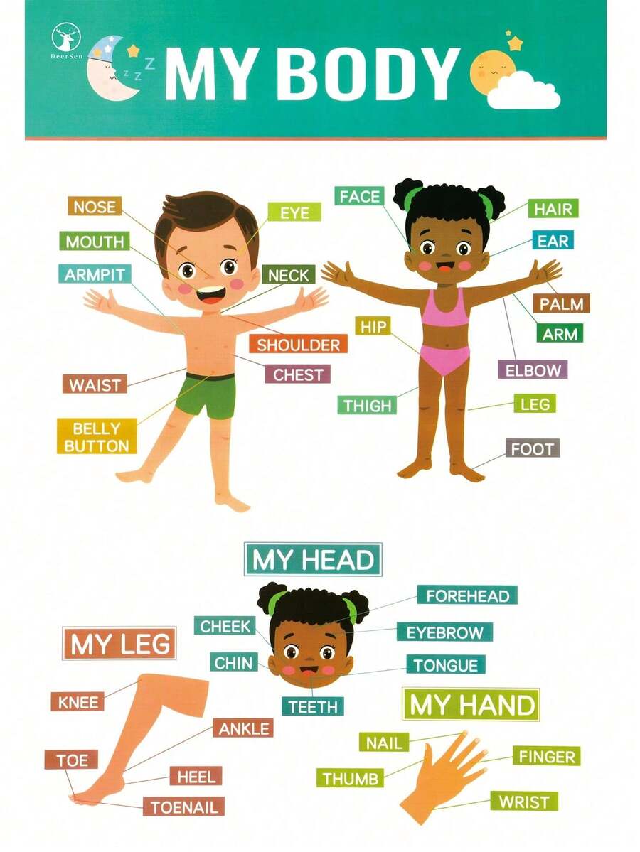 Fun Colorful Educational Posters For Toddlers,Toddler Learning Posters For Kids Ages 1-6, Early Education LearningToys ABC Chart, Numbers, Colors, Days Of The Week, Children Room Homeschool Classroom Decor Kindergarten Classroom Must Haves Supplies - 白色 - 查看 1
