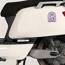 拒绝失败全息猫咪贴纸 / 趣味奇幻猫咪贴纸、水瓶贴纸、趣味贴纸、可爱贴纸、笔记本电脑贴纸、贴纸、笔记本电脑专用贴纸 - 光膜 - 查看 7