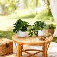 2 piezas Macetas blancas pequeñas y lindas con plantas verdes artificiales, plantas en maceta con hojas de tortuga falsas de 15 cm, adecuadas para decoración del hogar, escritorio de oficina, mesa de comedor, baño, decoración del hogar, accesorios DIY, decoración de sala de estar y dormitorio, sin necesidad de regar - Verde - Ver 3
