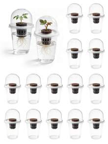 20pcs/4sets - Hydroponic Planting Pots, Transparent Cylindrical Plastic Planting Pots - Hydroponic Planting Set, High Transparency Hydroponic Cups, Transparent For Easy Root Observation, Perforated Design Promotes Aeration To Prevent Root Suffocation, Suitable For Hydroponic Plant Propagation, Can Be Used As Office, Home Or Garden Decor - Multicolor - View 9