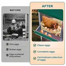 Egg Handling Supplies - Green 10-compartment Cubicle - With Support Frame - View 7