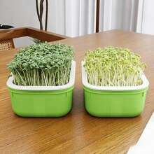 豆芽育苗盘、发芽套装、水培育苗盘、幼苗种植盘、微型蔬菜种植盘、小麦草育苗盘、豆芽发芽盘、无土栽培盘、家用种植系统、阳台种植盆、桌面园艺套装、蔬菜育苗盆、双层排水种植盆、大容量发芽工具、家用水培系统、带网格盖的育苗盘、绿豆芽容器、室内园艺用品 - Bean Sprout Tray - 查看 3