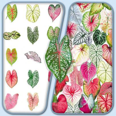 50pcs Transparent Colorful Leaf Stickers, Fresh Plant & Floral Decor For Display Cabinet, Sketchbook Scrapbook Supplies Scrapbooking