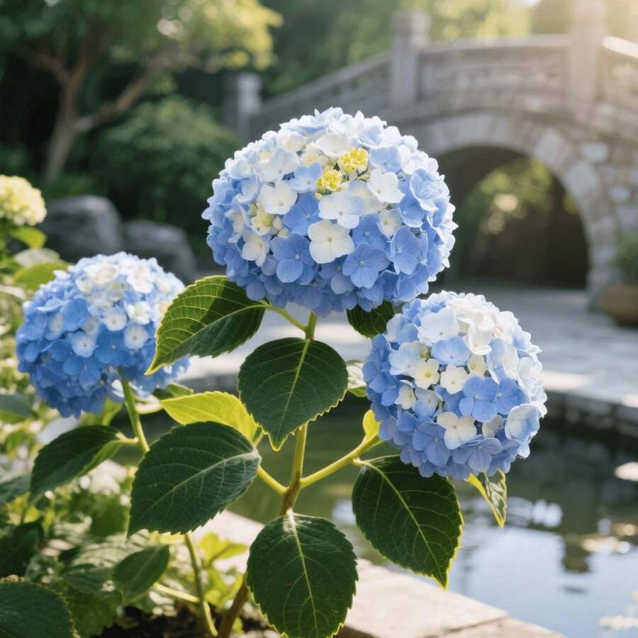 30 piezas de semillas de hortensias mixtas, adecuadas para plantas de interior en macetas, bordes de flores en patios, aptas para áreas semi-sombreadas, plantación en tierra, color de flor suave universal, período de floración continua, variedad ornamental para paisajismo del hogar. - 30 unidades/semilla - Ver 1