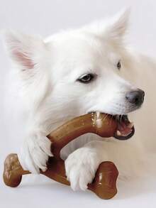 Durable Dog Chew Toy, Perfect For Dogs That Love To Chew, Made From Real Bacon Material - Multicolor - View 9