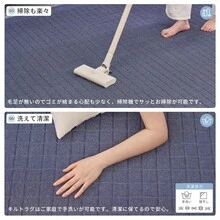 Carpets - グレー - Görünüm 7