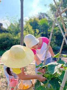 1顶夏季草帽，尼龙防晒帽，防雨农夫遮阳帽，大帽檐草帽，劳动防护用品 - A - 查看 8