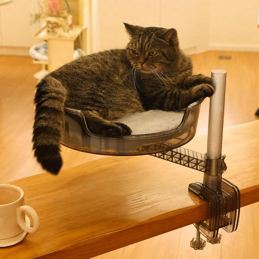 猫窝桌带宠物垫，猫吊床带碗，360°旋转，高度可调节，透明灰色 - 彩色 - 查看 1