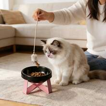 15° Tilted Anti-Vomiting Elevated Pet Feeding Bowl, High Stand Cat/Dog Bowl, Protective Neck & Spine Design, Non-Slip Wide Base, Durable Plastic Material, Suitable For Cats & Small Dogs, Wet & Dry Food, Practical Pet Gift - Multicolor - View 7