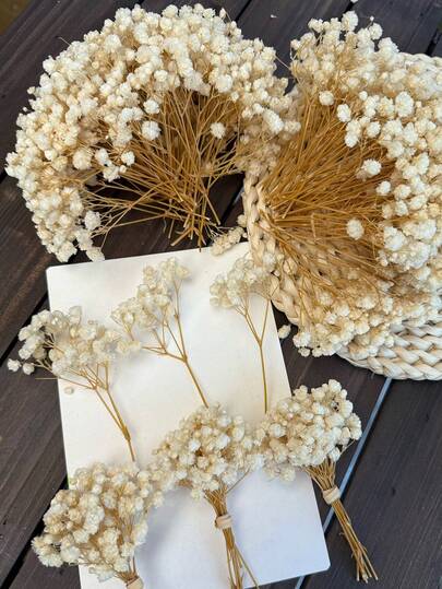 25/50/100/300 piezas Mini Flor de Nube de Bebé y Otras Flores Secas - Para Moldes de Resina de Arte y Manualidades, Ramo Blanco Marfil para Accesorios de Cabello, Coronas de Boda, Decoración de Mesa, Decoración del Hogar