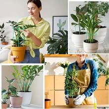 60 chiếc (10 tầng), Giá đỡ chậu hoa xếp chồng, Vòng đỡ cây, Cọc đỡ cây hoa trong vườn - màu xanh lá - Xem 8