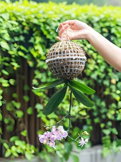 8个/4个塑料悬挂式苔藓球装饰，适用于兰花和鹿角蕨，水族箱漂浮苔藓球，带排水孔的水生植物种植球，室内/室外植物固定配件，DIY装饰，水培园艺苔藓球，兰花展示，盆景展示，园艺工具配件，植物爱好者，春季复活节礼物