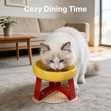 15° Tilted Anti-Vomiting Elevated Pet Feeding Bowl, High Stand Cat/Dog Bowl, Protective Neck & Spine Design, Non-Slip Wide Base, Durable Plastic Material, Suitable For Cats & Small Dogs, Wet & Dry Food, Practical Pet Gift - Multicolor - View 1