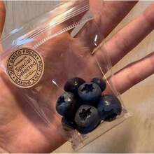 手工制作逼真蓝莓TPR捏捏乐玩具，柔软水果捏捏减压玩具 - 彩色 - 查看 4