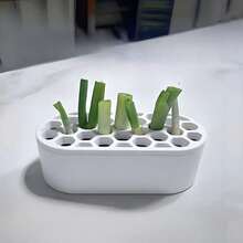 1 Pc Of Green Onion Regrowth Kit - No Skills Required, Easy To Grow Green Onions At Home | Compact System Suitable For Balconies, Windowsills And Small Spaces | Quick Regrowth Of Green Onions - A - View 1