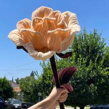 312 PCS Brown Pipe Cleaners For Crafts Flowers Bulk, 12 Inch Pipecleaners Chenille Stems Fuzzy Sticks Wire Tiges Chenilles - Brown - View 6