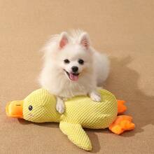 Pet Plush Toys - Multicolor - View 5