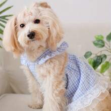 Charming Fairy-Tale Style Lace Bow Plaid Pet Dress - Perfect For Home Gatherings And Outings, Hand Wash Only, Suitable For Small And Medium-Sized Dogs - 粉紅色 - 查看 6