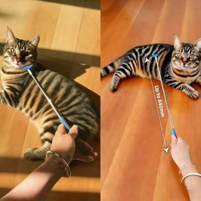 67cm Extendable Length Stainless Steel Pet Scratching And Massage Tool. Easy To Store Pet Grooming Brush And Massager, Suitable For Grooming And Beautifying. Universal Pet Scratching Relief Tool For Humans And Pets, An Ideal Gift. Suitable For Interacting With Cats, Dogs, Hamsters, Birds And Various Small Animals.