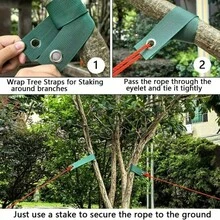 3/5Pcs Tree Support Straps, Premium Tree Support Straps For Supporting Newly Planted Trees, Leaning Trees And Wind Protection - Multicolor - View 9