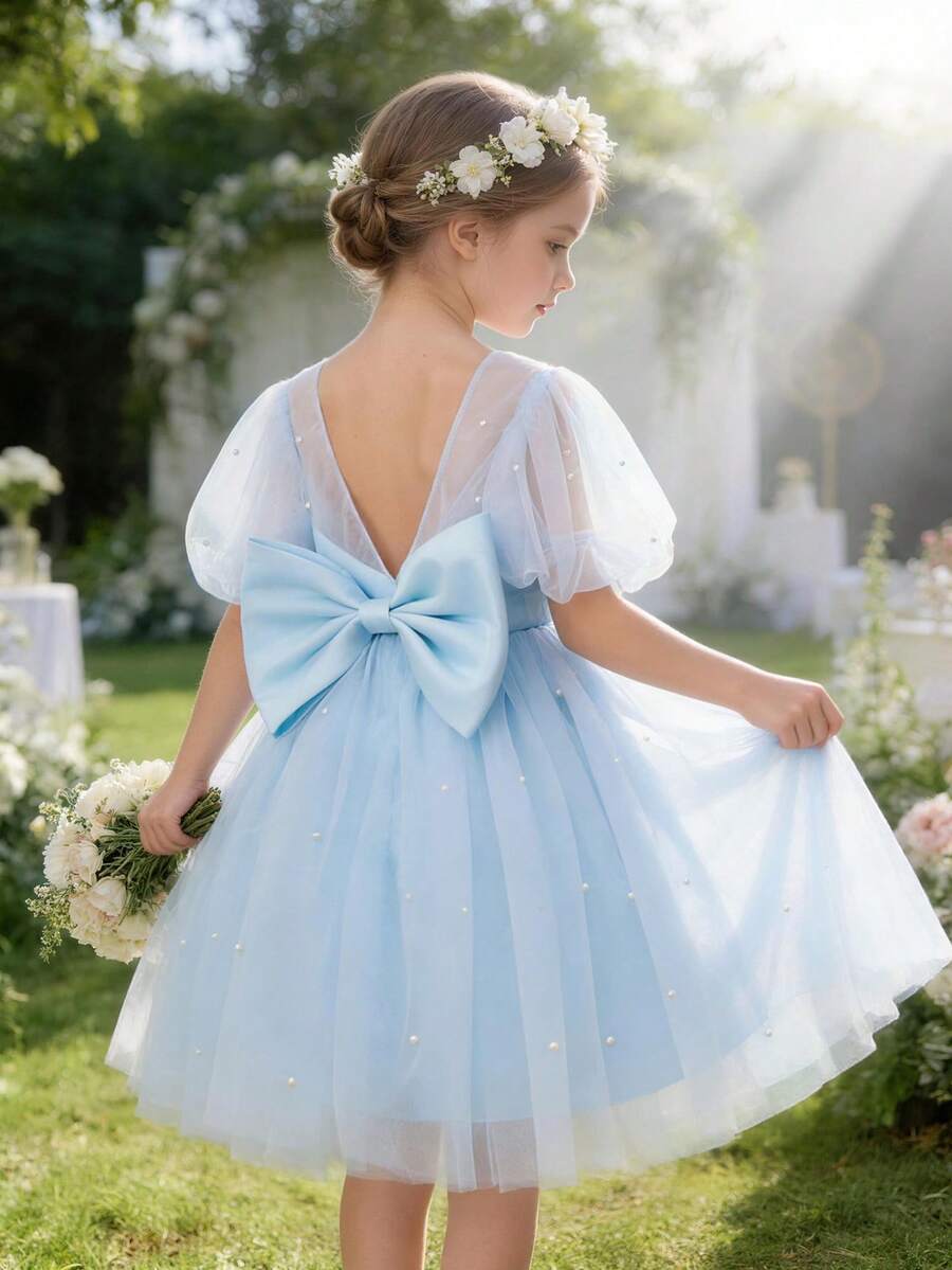 Light Blue Handmade Pearl Bow Elegant Princess Dress, Suitable For Girls' Birthday Party, Ball, Wedding, Flower Girl Dress, Holiday Celebration - Blue - View 1