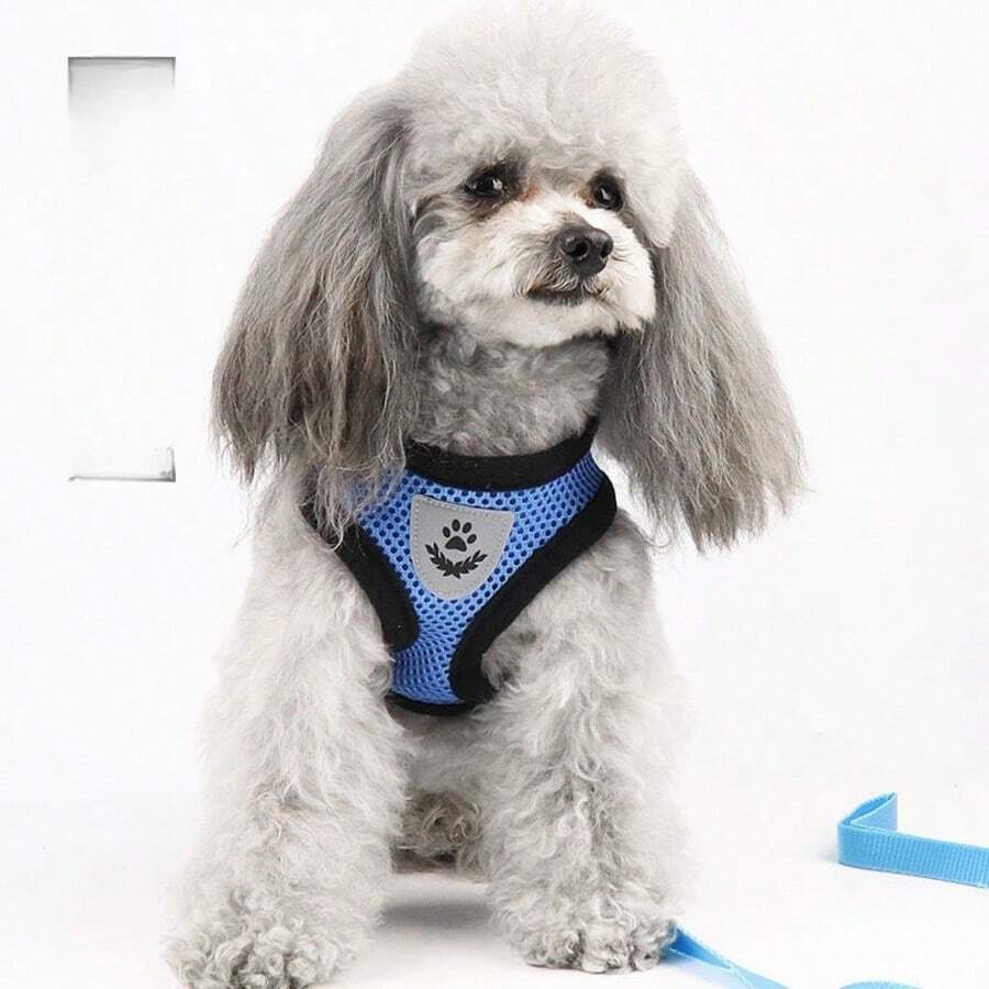 宠物胸背带和牵引绳，猫咪幼犬小狗遛狗带，背包式牵引绳，适合小型犬泰迪熊 - 彩色 - 查看 1