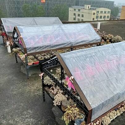 Transparente, wasserdichte Plane mit 8 Mikron-Dichtungsringen bietet optimalen Regenschutz für Ihre Veranda-Markisen. Regenwasser kann ungehindert abfließen, ohne sich zu stauen, und die Plane gewährleistet gleichzeitig klare Lichtdurchlässigkeit ohne Sichtbehinderung. Hergestellt aus flexiblem und strapazierfähigem PE-Material, ist sie die ideale Alternative zu herkömmlichen Campingplanen für Ihren Garten.