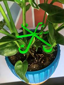 4 st växtklämmor, klätterställ för växter, ställ för att samla blomsterstjälkar - A - Visa 2