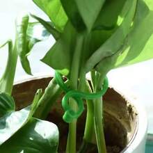 Plant Fixator, Gardening Butterfly Buckle Rings, Large Infinity Plant Binding Ties, Vine Growth Fixing Clips, Gourd Rings - 100pcs - View 3
