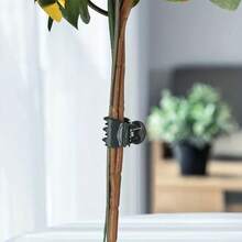 100/50/30/10pcs Orchid Clips, Vine Clips, Gardening Clips, Phalaenopsis Clips, Decorative Clips, Plant Gardening Fixing Clips - Dark Green - View 6
