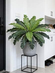 Cây dương xỉ nhân tạo 45-50cm, lá dương xỉ Ba Tư giả, lá dương xỉ nhiệt đới Boston, bó lá cọ nhựa, cỏ giả sống động như thật, dùng trang trí nhà cửa, sân vườn, trong nhà, ngoài trời, đám cưới (không kèm chậu), 1 cây. - màu xanh lá - Xem 4