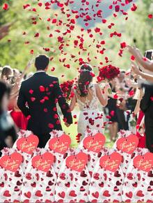 30/10个红色爱心图案欧根纱束口袋，节日惊喜礼品袋，婚礼回礼袋，伴娘礼物，宾客回礼，珠宝收纳袋，沐浴派对礼物，单身派对礼物，糖果礼品网眼束口袋，适用于节日、婚礼、浪漫惊喜等场合。 - 紅色 - 查看 10