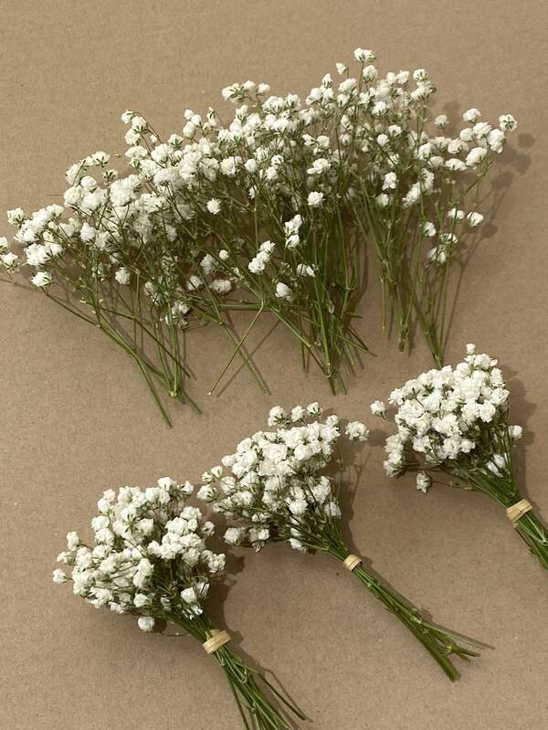 25/50/100/300支迷你满天星及其他干花 - 适用于树脂模具工艺品制作，象牙白花束，可用于发饰、婚礼花环、餐桌装饰、家居装饰