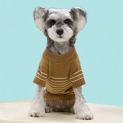 PETSIN Múltiples Tamaños Chaleco de Perro de Algodón Suave Mezcla Delgado Cálido Transpirable Antiestático Sin Deslizamiento Hombro Ligero a Prueba de Viento Cómodo Lavable unicolor Estilo Básico Ropa para Mascotas para Bichón Frisé Pug Schnauzer Perros de Raza Pequeña Paseo Diario Actividad al Aire Libre Uso Doméstico Primavera Otoño Invierno Ropa de Mascota Fría Chaqueta de Perro Abrigo Cálido para Perros Pequeños