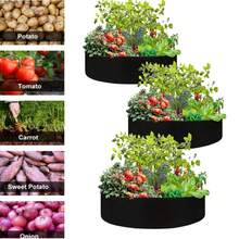 3个装可折叠多功能圆形种植袋 - 耐用无纺布材质，适用于蔬菜、花卉和幼苗 - 经典圆形设计，适合种植番茄、土豆、生菜和草莓 - 非常适合户外园艺和户外种植 - 黑色 - 查看 1