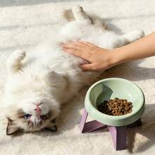 15° Tilted Anti-Vomiting Elevated Pet Feeding Bowl, High Stand Cat/Dog Bowl, Protective Neck & Spine Design, Non-Slip Wide Base, Durable Plastic Material, Suitable For Cats & Small Dogs, Wet & Dry Food, Practical Pet Gift - Multicolor - View 14