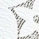 trắng