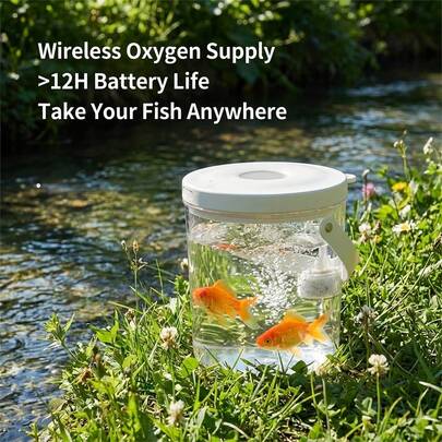 TazTir Portable Mini Fish Tank With LED Light & Air Pump | USB Rechargeable Desktop Aquarium Kit For Betta, Goldfish & Guppy – Modern Home Office Decor