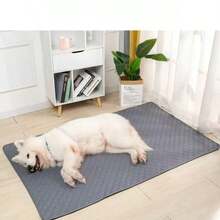 1片装可水洗宠物尿垫，防滑吸水，易干，适用于犬猫训练，可重复使用。 - 灰色 - 查看 5